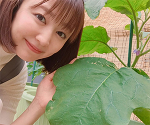 Natsuki Taki, NTV, Announcer, Hobbies, Vegetable Garden