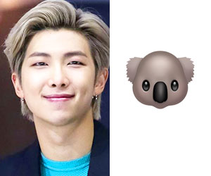 BTS member Nam June (RM) and koala emoji