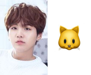 BTS member Yoongi (Shuga) and his emoji cat