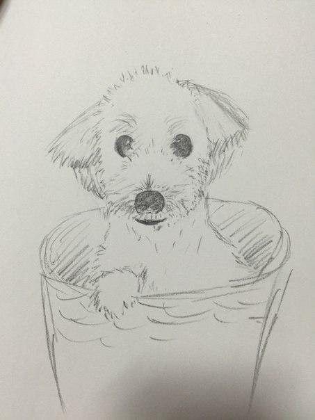 Jin's dog drawn by Jong-Guk
